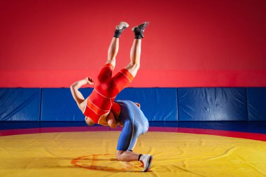 Adil güreş kavramı. Mavi ve Kırmızı tayt güreş iki genç erkek wrestlng ve bir sarı halı spor salonunda Güreş güreş suplex yapım vardır