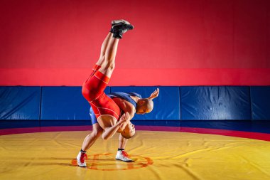 Mavi ve Kırmızı tayt güreş iki genç erkeklerde wrestlng ve bir sarı halı spor salonunda Güreş güreş suplex yapım vardır. Adil güreş kavramı
