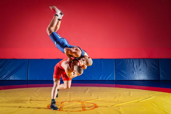 公正なレスリングのコンセプトです 青と赤のタイツをレスリングで つの若い男性が Wrestlng と黄色のカーペットをジムでプロレスのレスリング スープレックス — ストック写真