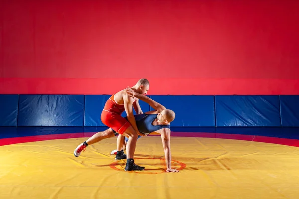 Két Erős Birkózók Kék Piros Harisnya Birkózás Wrestlng Így Egy — Stock Fotó