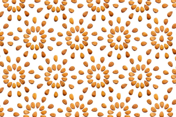Pattern Nuts Peeled Apricot Stone White Background Form Circle Concepts — Stock fotografie