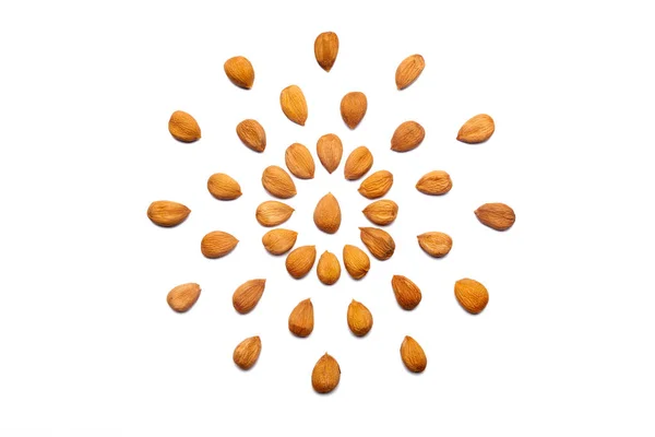 Pattern Nuts Peeled Apricot Stone White Background Form Circle Concepts — Zdjęcie stockowe