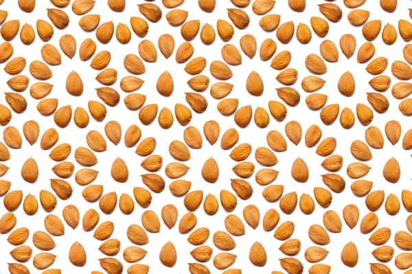 Pattern Nuts Peeled Apricot Stone White Background Form Circle Concepts — 스톡 사진