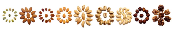 Collection Nuts Made Almonds Walnuts Hazelnuts Pistachios Cashews Lie Shape — Stock Photo, Image