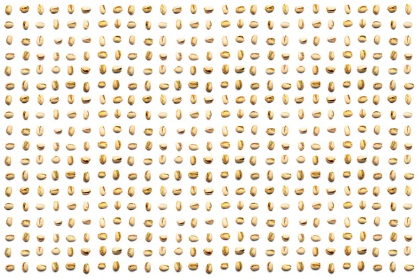 Collection Pistachio Nuts Lie Horizontal Rows Isolated White Background Clipping — Stock Photo, Image