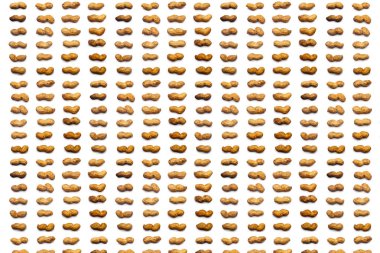 Soyulmamış fıstık topluluğu yalan izole bir beyaz arka plan üzerinde yatay satırlardaki. kırpma yoluyla. soyulmamış fıstık desen