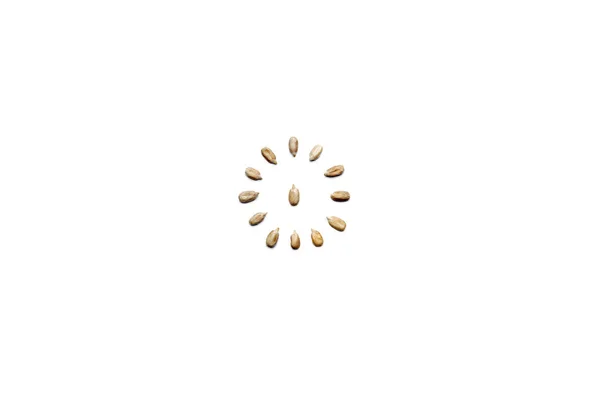 Vzorek Ořechy Loupané Loupaná Slunečnicová Semínka Bílém Pozadí Podobě Kruhu — Stock fotografie
