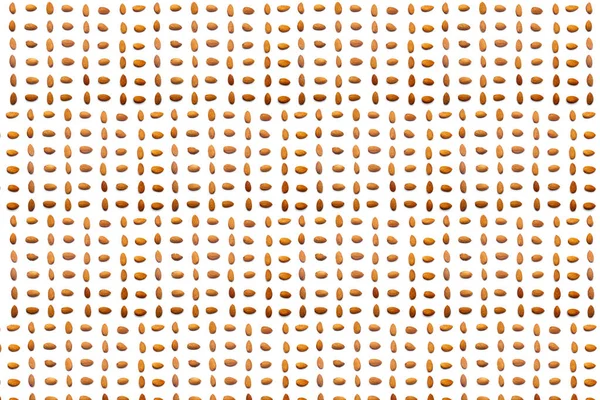 Collection Apricot Stone Lie Horizontal Rows Isolated White Background Clipping — Stock Photo, Image