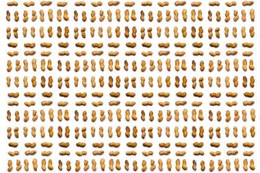 Soyulmamış fıstık topluluğu yalan izole bir beyaz arka plan üzerinde yatay satırlardaki. kırpma yoluyla. soyulmamış fıstık desen