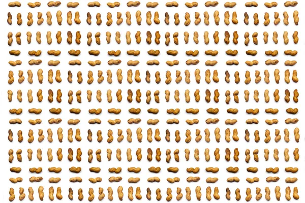 Uma Coleção Amendoins Não Descascados Encontra Linhas Horizontais Fundo Branco — Fotografia de Stock