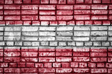 Avusturya Ulusal bayrak bir tuğla zemin üzerine. Avusturya için kavram görüntü: dil, insanlar ve kültür.