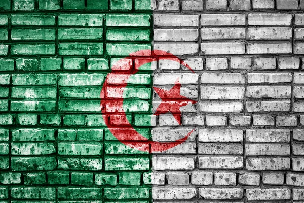 Nemzeti Algéria Zászlaja Tégla Háttér Algéria Koncepció Kép Nyelvi Emberek — Stock Fotó