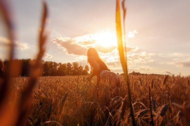 İnce kadın mavi gökyüzü karşı bir sıcak yaz günü karşı bir buğday alan poz beyaz iç çamaşırı. Doğada güzel özgür bir kadın portresi 