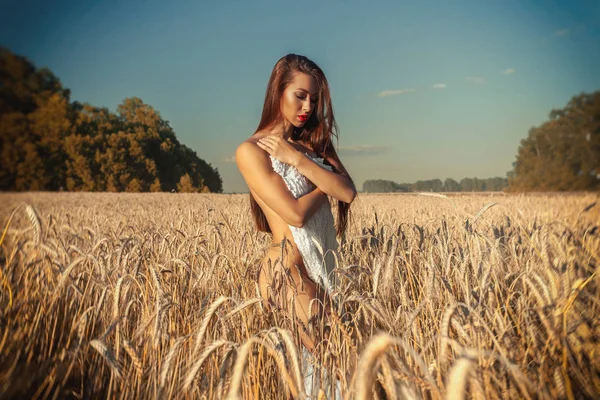 Jeune Femme Séduisante Sur Champ Été Photo Femme Brune Posant — Photo