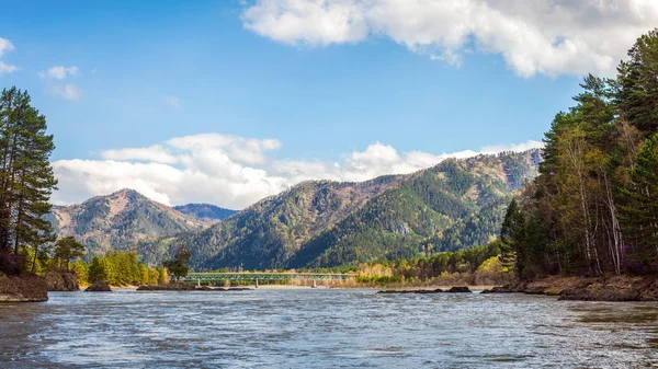 Panoráma Mountain River Híd Előtt Hegység Nemzeti Park Altaj Köztársaság — Stock Fotó
