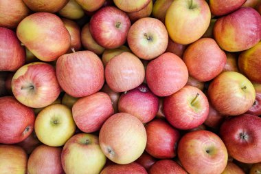 Elma kırmızı ve sarı arka plan. Dükkânda yetişen taze elma çeşitli. Elma suyu, meyveli turta, elma püresi, Komposto için uygun