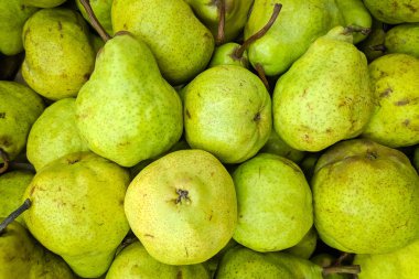 Yeşil armut arka plan. Dükkânda yetişen taze peares çeşitli. Armut suyu, meyveli turta, armut püresi, Komposto için uygun