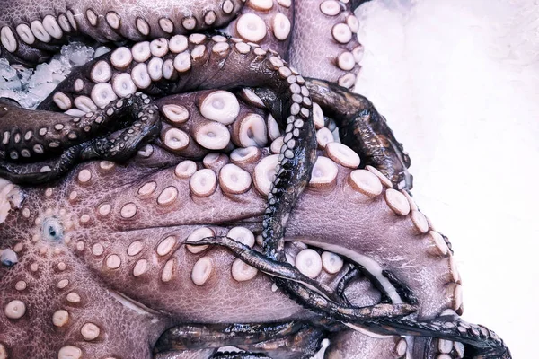 Cerca Pulpo Púrpura Orgánica Fresca Hielo Mercado Fresco Fondo Textura — Foto de Stock