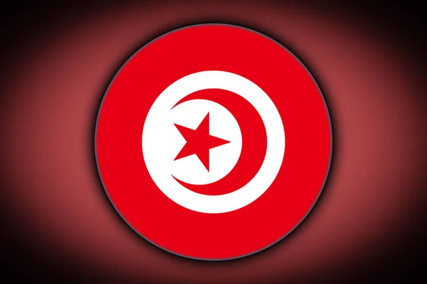 Bandiera Nazionale Della Tunisia Sotto Forma Pulsante Rotondo Con Riflesso — Foto Stock