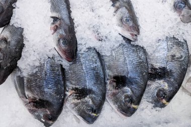 Taze Pazar, arka plan üzerinde buz üzerinde taze organik balık sazan kapatın. Deniz balıkları doku. Bir sürü organik sazan kök
