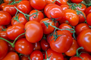 Domates arka planı. Dükkanda yetişen taze domatesler. Salata, ana yemek ve çorba için domates.