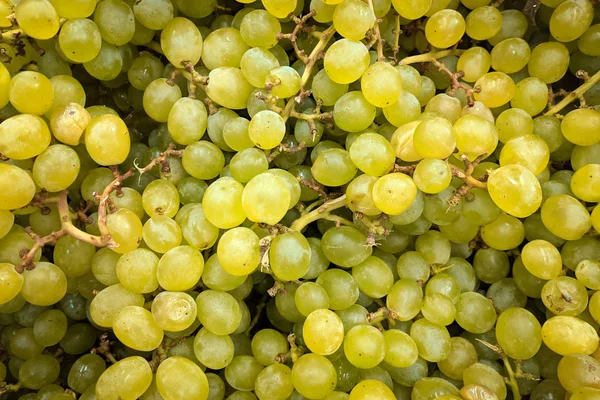 Zielone Winogrona Bliska Tło Świeże Winogrona Odmiany Uprawiane Sklepie Winogrona — Zdjęcie stockowe