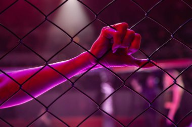 Bir yüzük kız arka görünümü sekizgen bir sahnede metal bir ızgara üzerinde elini tutar. Mma turnuva yarışmalarında karma dövüş sanatları sporlarında çekici kadın. 