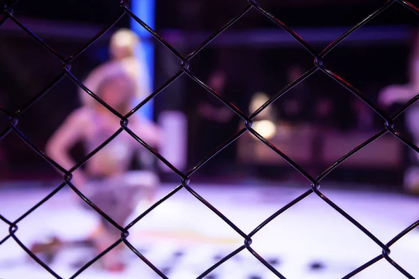 Boks Ring Kız Sekizgen Sahnenin Arenada Bir Mücadele Önce Pozlar — Stok fotoğraf