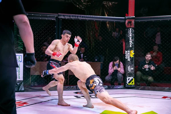 Novosibirsk Rusia Abril 2019 Salón Fama Combatientes Boxeadores Luchan Peleas —  Fotos de Stock
