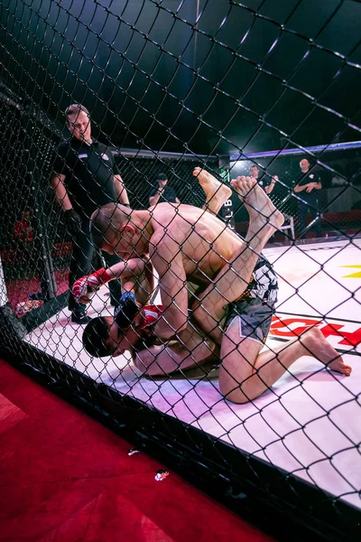 Novosibirsk Rusya Nisan 2019 Salon Fam Boxers Dövüşçüleri Koyu Renkli — Stok fotoğraf