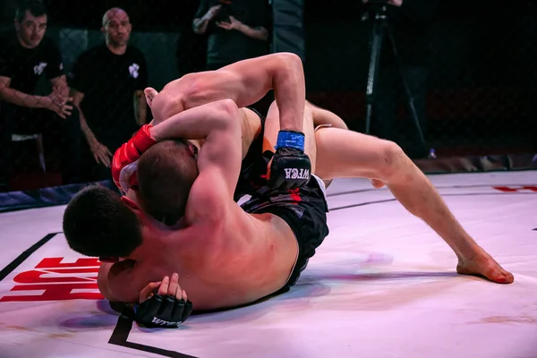 Novosibirsk, Rusya - 19 Nisan 2019: Salon of fam. Boxers dövüşçüleri, koyu renkli arka plandaki sirkte sekizgen halkada kuralsız dövüşlerde yerde güreştiler. Mma sürümüne göre kuralsız dövüşler