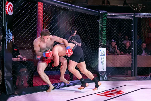 Novosibirsk Rusya Nisan 2019 Mma Boxers Dövüşçüleri Salonu Sirkteki Ring — Stok fotoğraf