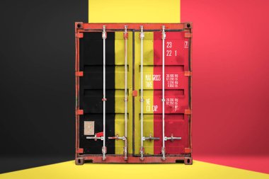  Belçika ihracat-ithalat, konteyner taşımacılığı ve malların ulusal teslimat kavramı. Belçika ulusal bayrağı ile taşıma konteyner, ön görüntülemek