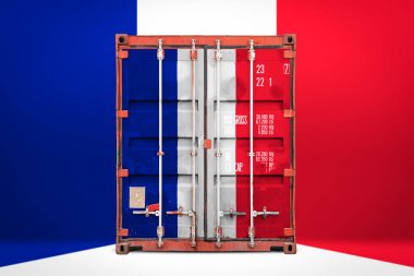  Fransa ihracat-ithalat, konteyner taşıma ve malların ulusal teslimat kavramı. Fransa ulusal bayrağı ile taşıma konteyner, ön görüntülemek