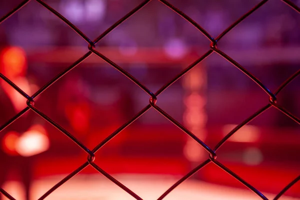 Boxing leading before a fight in the arena of the octagonal scene, view through the metal net. Man in the sports of mixed martial arts at the MMA tournament competitions.