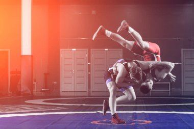 Mavi ve Kırmızı tayt güreş iki genç erkek wrestlng ve halı spor salonunda güreş bir sarı bir kalça yapma vardır. Adil güreş kavramı