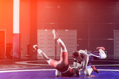 Mavi ve kırmızı güreş taytı giymiş iki güçlü güreşçi güreşiyor ve spor salonundaki sarı bir güreş halısında kalça atışı yapıyorlar. Kavgacı genç adam..