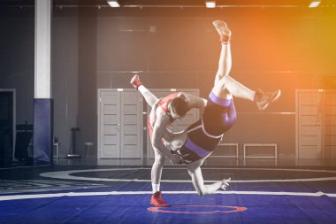 Adil güreş kavramı. Spor salonunda güreş halısında kırmızı ve mavi üniformalı iki greko-romen güreşçi güreş. Adil güreş kavramı