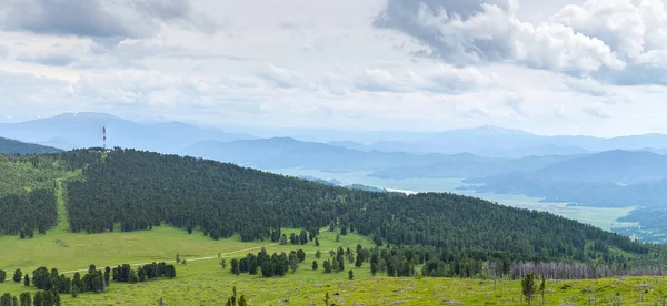 Летний Пейзаж Горный Алтай Чемальский Район Высокие Горы Покрытые Соснами — стоковое фото