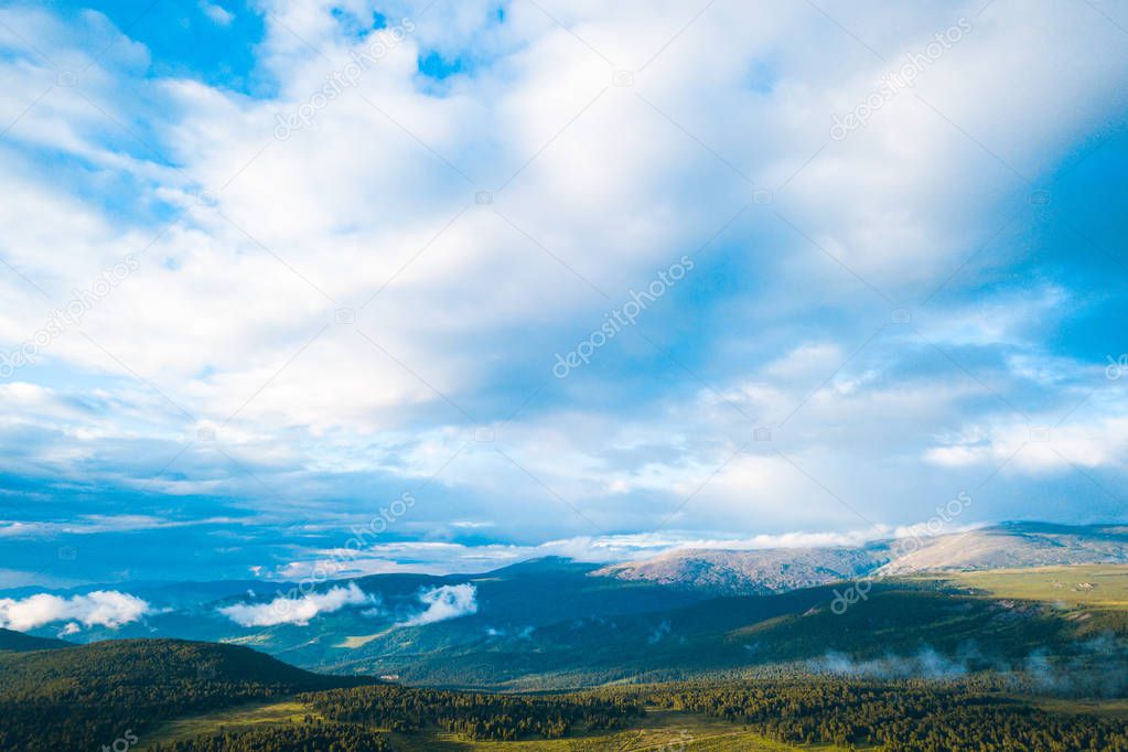 A landscape view of beautiful fresh green forest and  Altai mountain background.  Panoramic view of beautiful green forest in the Altai mountains