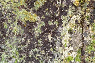 Yakın çekim Kaya oluşumu. Gri taşın dokusu, arka plan.doğal kaya dokusu arka plan