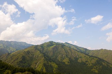 Turkuaz ile güzel orman ile Peyzaj dağ. Panoramik. Seyahat geçmişi. Dağdaki otoban. Quadrocopter Yaylaları