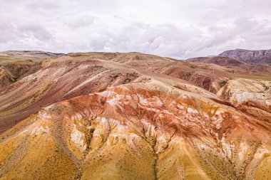 Zirvelerden oluşan bir dağ zincirinin çarpıcı bir panoraması, kırmızı killi bir kanyon, en iyi manzara. Altay'daki Mars tarlaları, Rusya