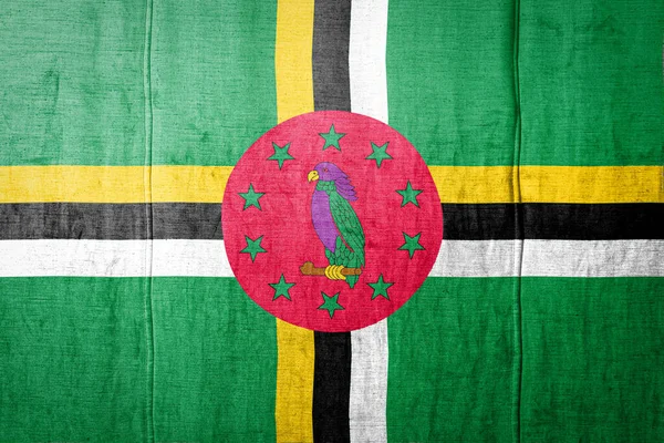 National Flag Dominica Depicting Paint Colors Old Clothl Flag Banner — Stock Photo, Image