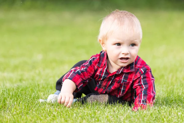 Little Boy Creeps Field Funny Child Park Summer Concept Summer — Stock Photo, Image