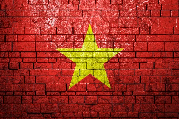 Flaga Narodowa Wietnamu Tle Muru Murowanego Koncepcja Dumy Narodowej Symbolu — Zdjęcie stockowe