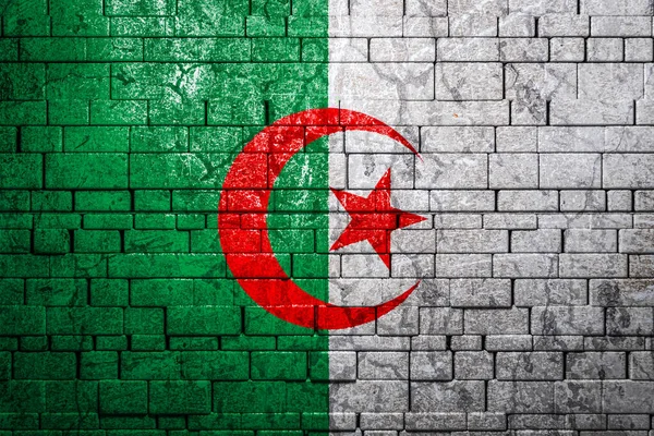 Nemzeti Zászló Algéria Téglafal Hátterén Koncepció Nemzeti Büszkeség Szimbólum Ország — Stock Fotó