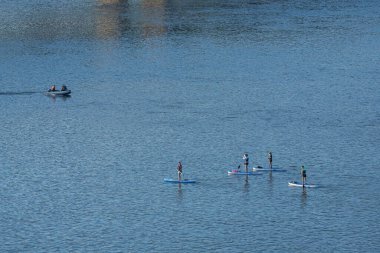Novosibirsk / Rusya 27 Haziran 2020: Kürekleri olan iki kadın sporcu güneşli bir günde nehir boyunca sörf tahtalarında yüzüyor. Paddleboard 