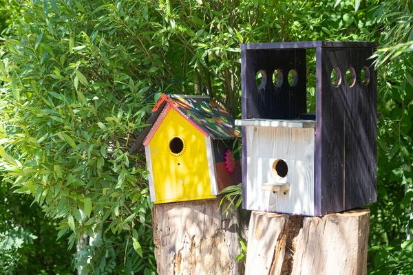 夏の寒い日に公園に鳥のための2つの木造鳥の家が立っています — ストック写真