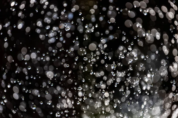 Primo Piano Gocce Acqua Uno Sfondo Gradiente Azzurro Coperto Con — Foto Stock